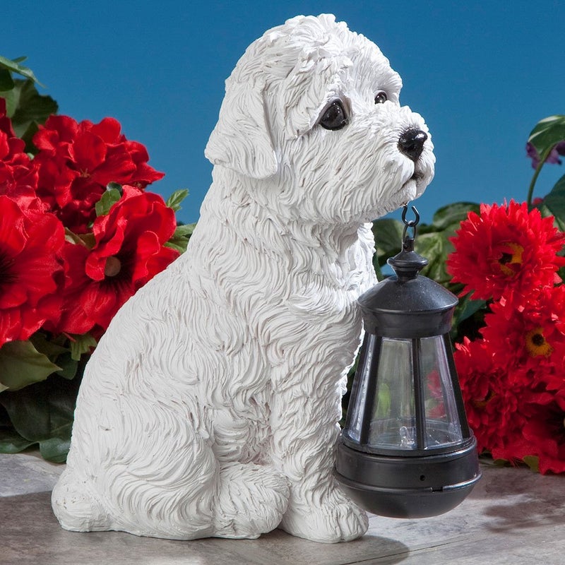 Bits and Pieces - Dog Solar Lantern Statue - Solar Powered Garden Lantern - Resin Dog Sculpture with LED Light - Outdoor Lighting and DÃ©cor (Bichon) - Image 4